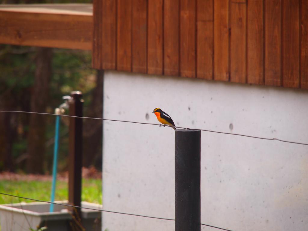 Hotel Koya Backpackers Karuizawa Zewnętrze zdjęcie