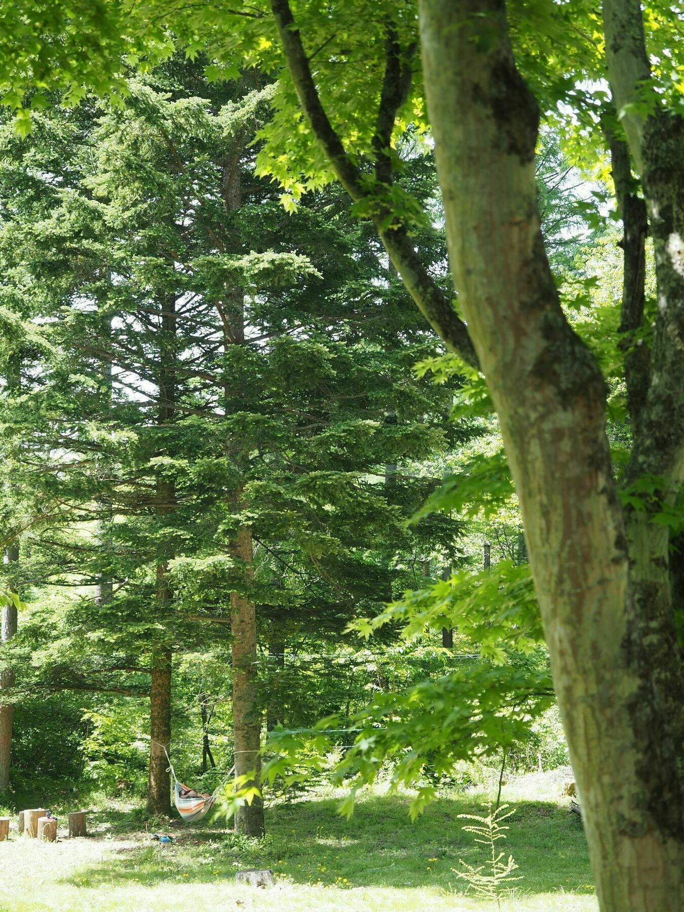 Hotel Koya Backpackers Karuizawa Zewnętrze zdjęcie